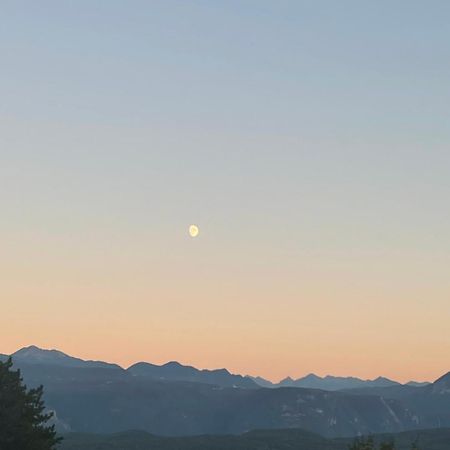 Kreuzstein Bed&Breakfast Appiano Sulla Strada Del Vino Dış mekan fotoğraf